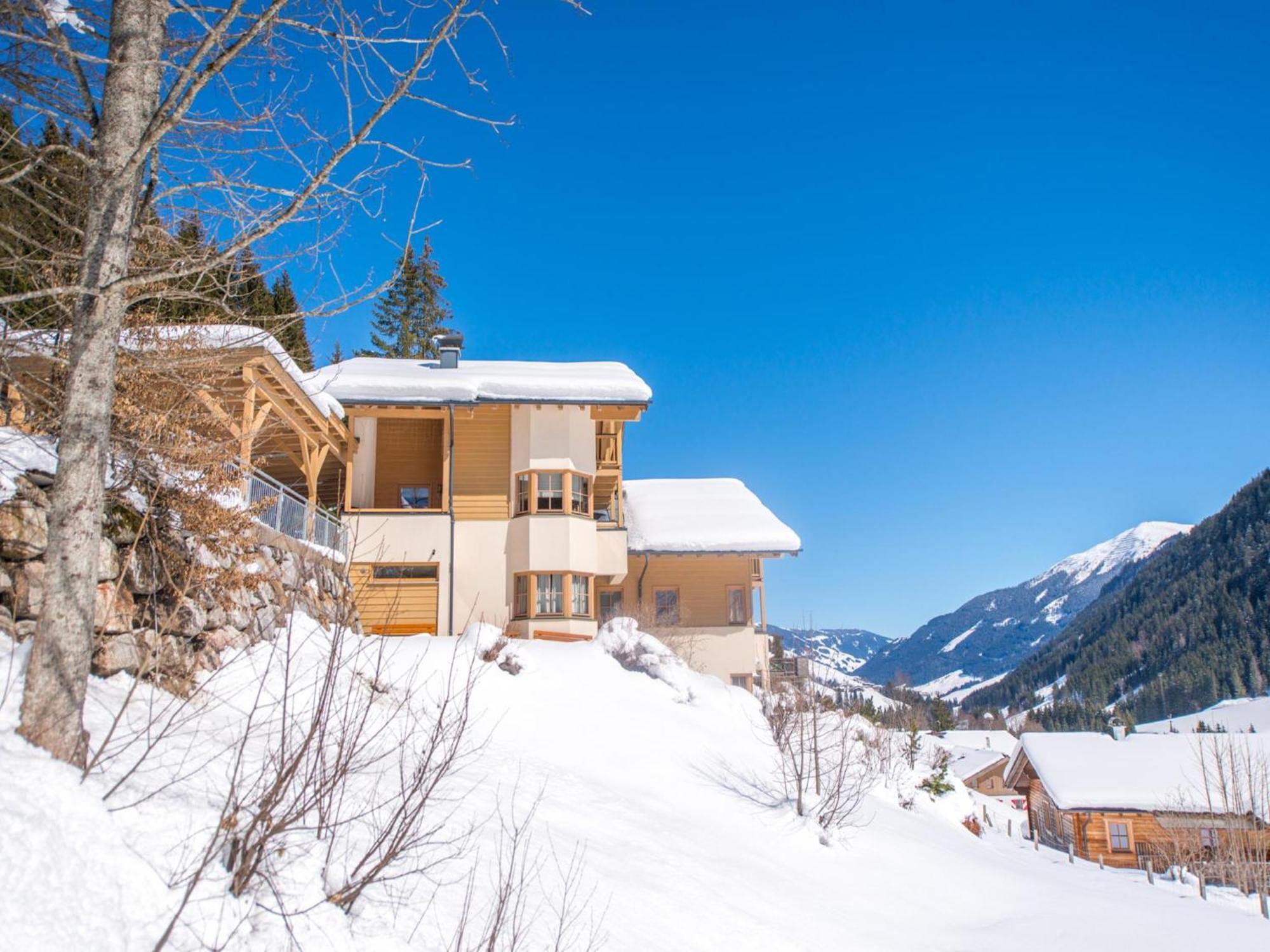 Chalet Sanna Hinterlengau Зальбах-Хинтерглемм Экстерьер фото